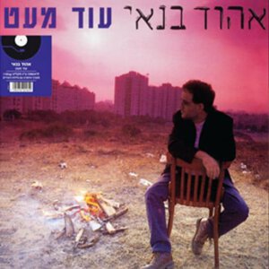 אהוד בנאי