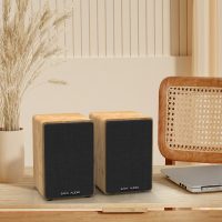 רמקולים אלחוטיים\חוטיים לפטיפונים + שלט WS-602 COSY