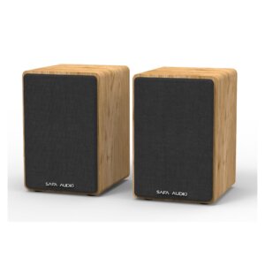 רמקולים אלחוטיים\חוטיים לפטיפונים + שלט WS-602 COSY